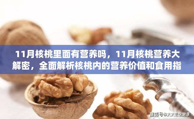 揭秘十一月核桃的营养秘密,全面解析核桃营养价值与食用指南