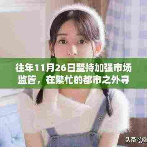 繁忙都市中的市场监管与心灵邂逅自然美景之旅,11月26日的宁静探索