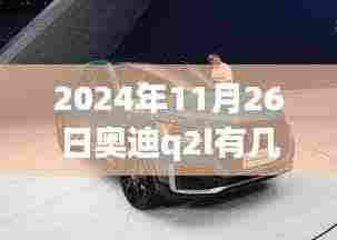 奥迪Q2L 2024款全新车型深度解析,多样选择,时尚与性能的完美融合