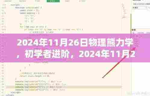 物理熊力学实践步骤指南,初学者进阶指南(2024年11月26日版)