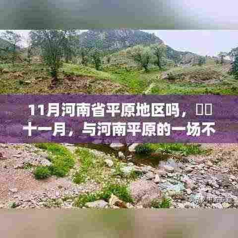 在线留言 第392页