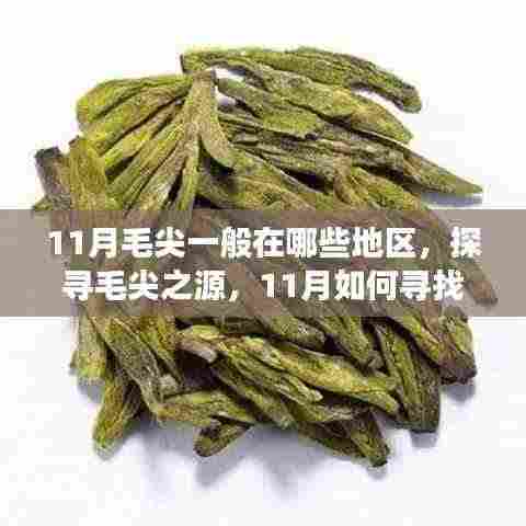 运输网络 第362页