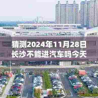 揭秘未来长沙交通变迁与小巷美食秘境,2024年11月28日长沙汽车通行及美食探寻指南