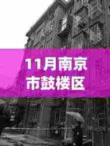 11月南京市鼓楼区汉中门大街118号,南京鼓楼区的温馨日常,鼓楼邻里间的趣事与情感纽带