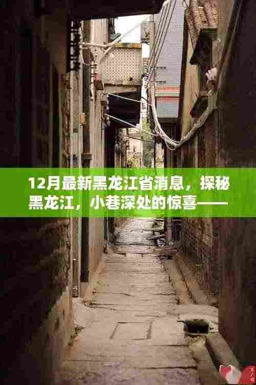 探秘黑龙江,十二月最新消息揭秘小巷深处的美味小店
