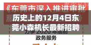 历史上的12月4日东莞小森机长最新招聘,全面解读与用户体验体验分享