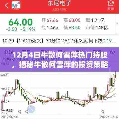 揭秘牛散何雪萍的投资策略,十二月四日热门持股动向分析