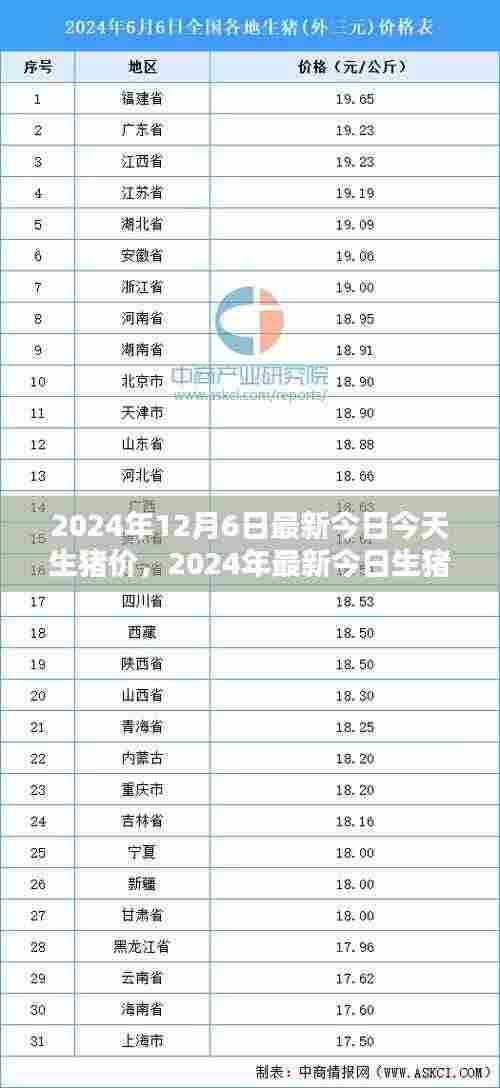2024年最新今日生猪价格解析,入门指南与查询步骤
