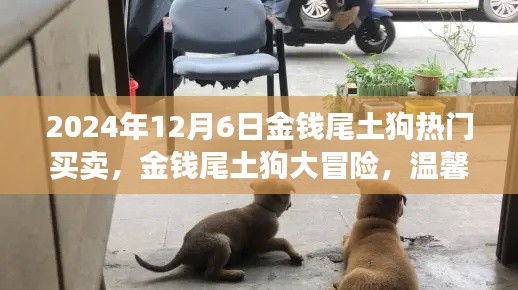 金钱尾土狗大冒险,买卖与友情的温馨之旅