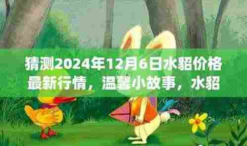 水貂价格预测之旅,温馨小故事揭秘2024年最新行情猜想
