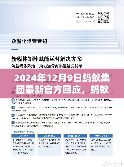 蚂蚁集团官方回应解析指南,适用于初学者与进阶用户的最新指南(2024年12月9日)