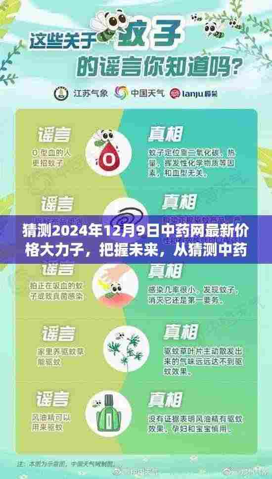 中药网最新价格预测,大力子励志之旅,展望未来中药市场动向