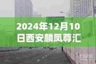 探寻古都新风采,西安麟凤尊汇热门动态三大看点(2024年12月10日)