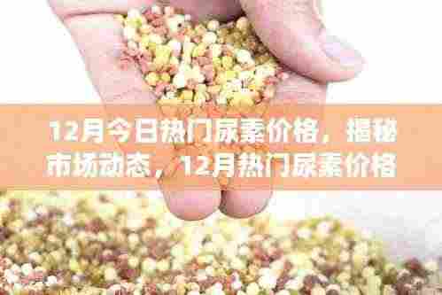 揭秘市场动态,12月热门尿素价格走势分析与预测