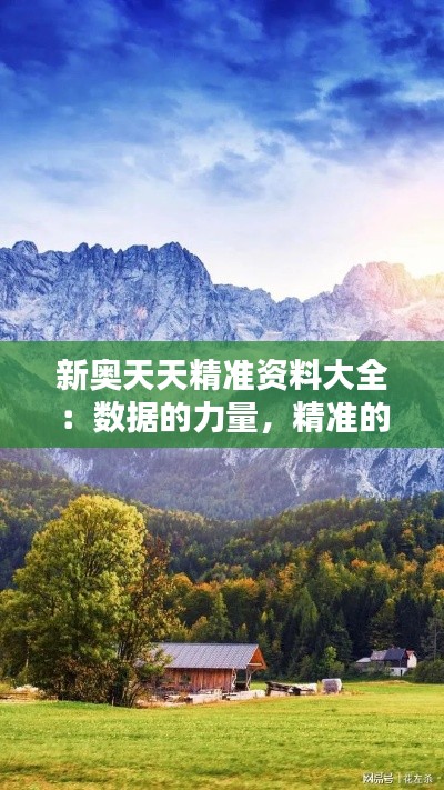 新奥天天精准资料大全:数据的力量,精准的体现