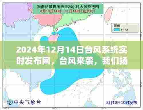 台风来袭,扬帆起航,体验海上自信与成就之旅的实时记录