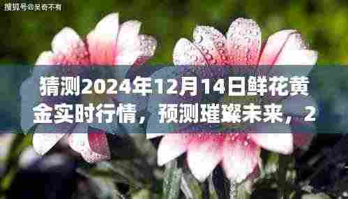 2024年12月14日鲜花黄金行情展望,预测璀璨未来