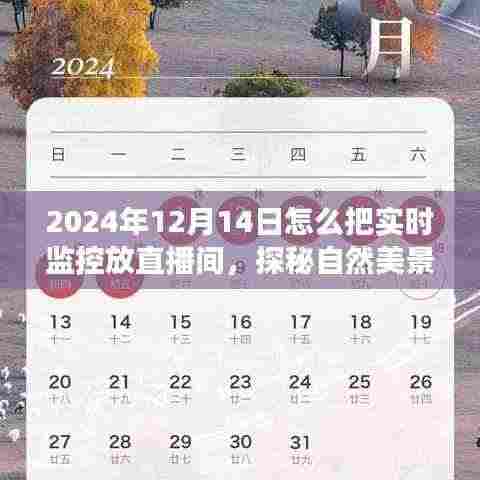 探秘自然美景，2024年12月14日直播之旅，带你远离尘嚣，发现内心宁静与实时监控的直播体验