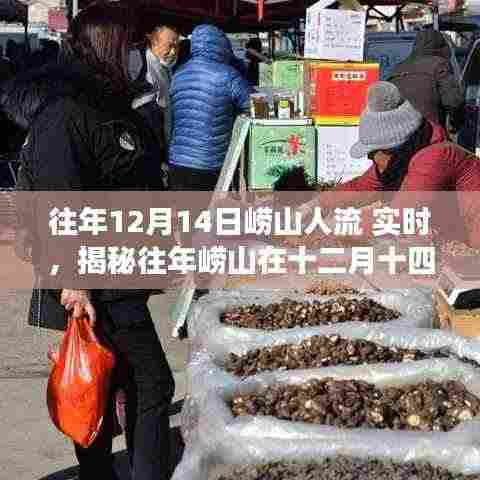 揭秘崂山游客盛况,十二月十四日人流实时动态