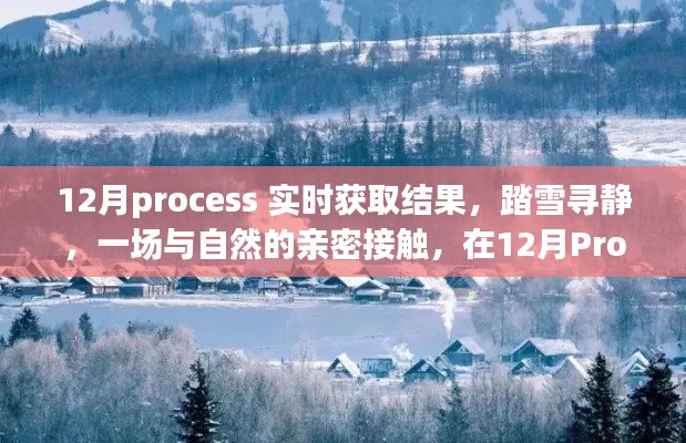 12月Process,与自然共舞,心灵宁静的寻觅之旅