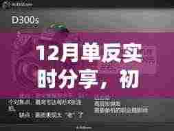 初学者与进阶用户必备的12月单反相机实时分享，玩转单反摄影技巧
