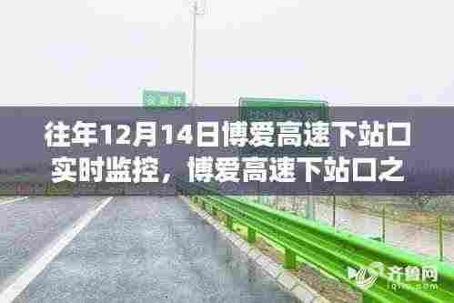 博爱高速下站口之旅，探寻内心宁静与自然魔法的实时记录