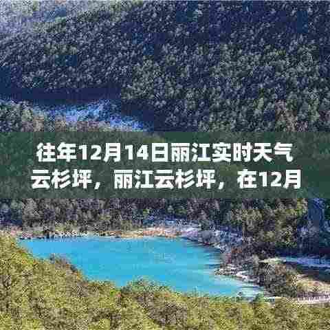 丽江云杉坪,寻找内心的宁静与自然魔法的秘密之旅(往年12月14日实时天气)