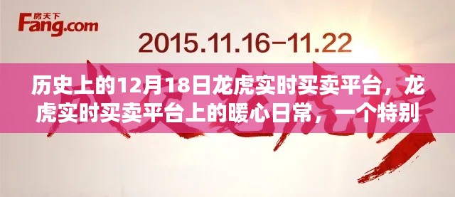 龙虎实时买卖平台,暖心日常的特别12月18日记忆