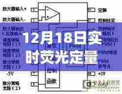 见证变化的力量与时间的魔法,实时荧光定量PCR检测之路在12月18日的探索之旅