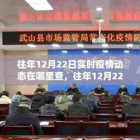 往年12月22日实时疫情动态查询平台深度评测与介绍，查询渠道解析