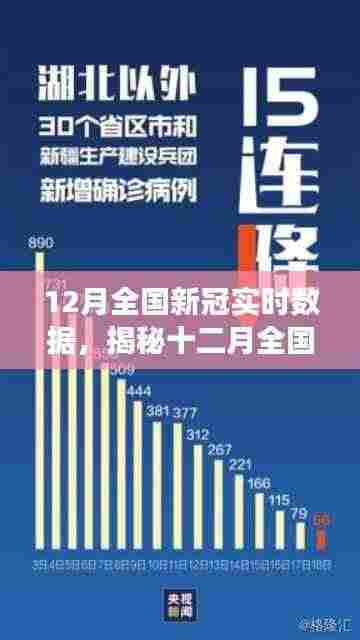 十二月全国新冠实时数据深度解析,趋势洞察与预测