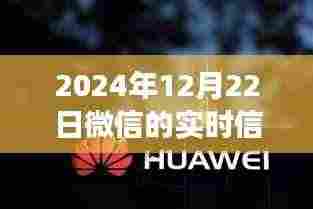 微信静默日,探索静默中的无限可能与学习变化之旅