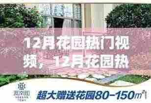 12月花园热门视频产品评测与介绍,详解视频内容与特色