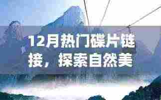 十二月热门碟片,自然美景之旅,探索内心宁静与喜悦的奇妙旅程
