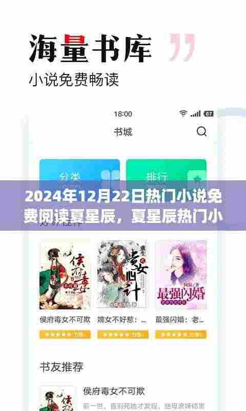 夏星辰热门小说免费阅读指南,2024年12月22日一站式攻略