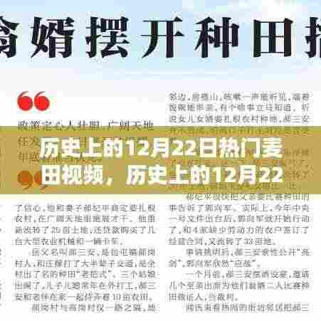 历史上的12月22日热门麦田视频回顾