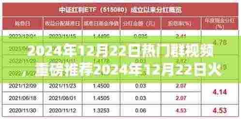 2024年12月22日火爆群视频盛宴,视觉狂欢,不容错过