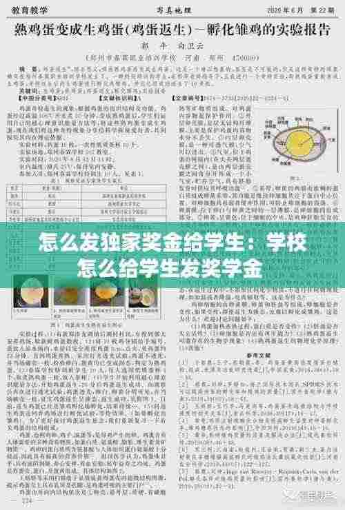 怎么发独家奖金给学生：学校怎么给学生发奖学金 
