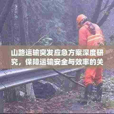 山路运输突发应急方案深度研究,保障运输安全与效率的关键策略
