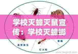 学校灭蟑灭鼠宣传:学校灭蟑螂图片