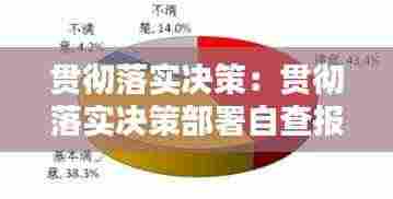 贯彻落实决策:贯彻落实决策部署自查报告