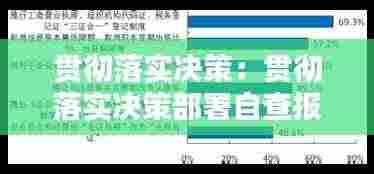 贯彻落实决策:贯彻落实决策部署自查报告