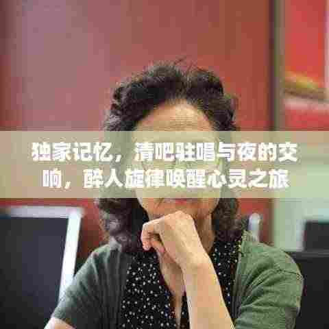 独家记忆,清吧驻唱与夜的交响,醉人旋律唤醒心灵之旅