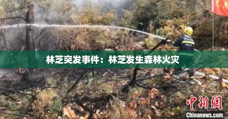 林芝突发事件:林芝发生森林火灾