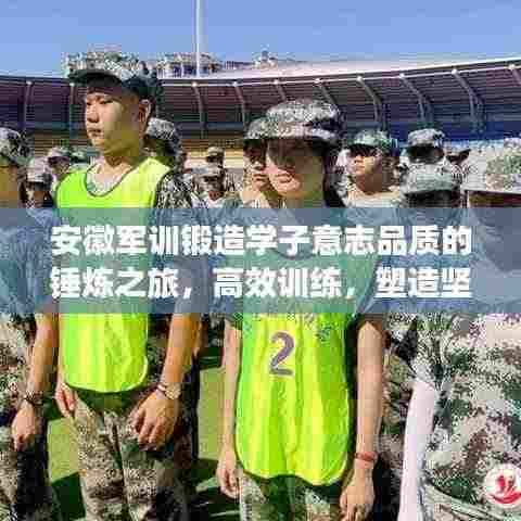 安徽军训锻造学子意志品质的锤炼之旅，高效训练，塑造坚韧品质