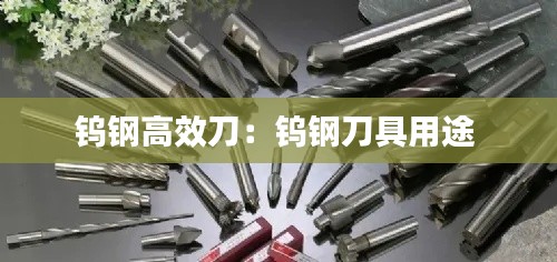 降贵纡尊 第4页