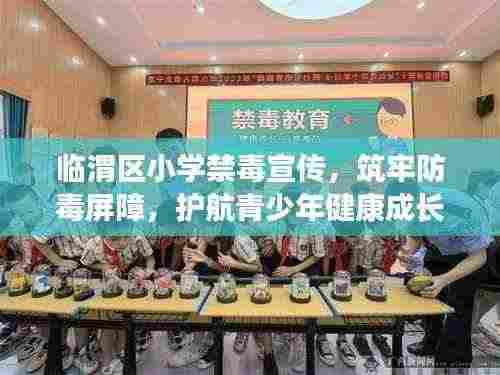 临渭区小学禁毒宣传,筑牢防毒屏障,护航青少年健康成长之路