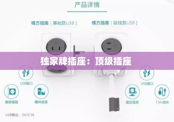 独家牌插座:顶级插座