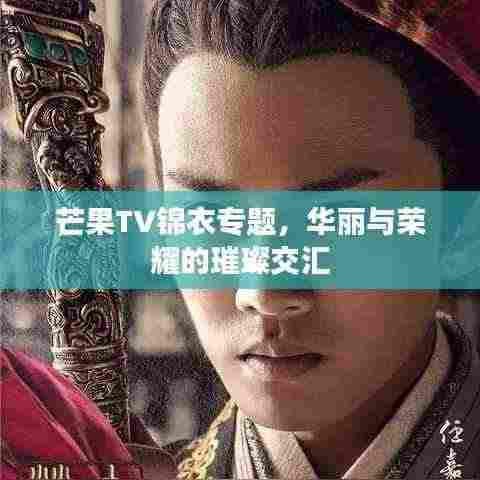 芒果TV锦衣专题,华丽与荣耀的璀璨交汇