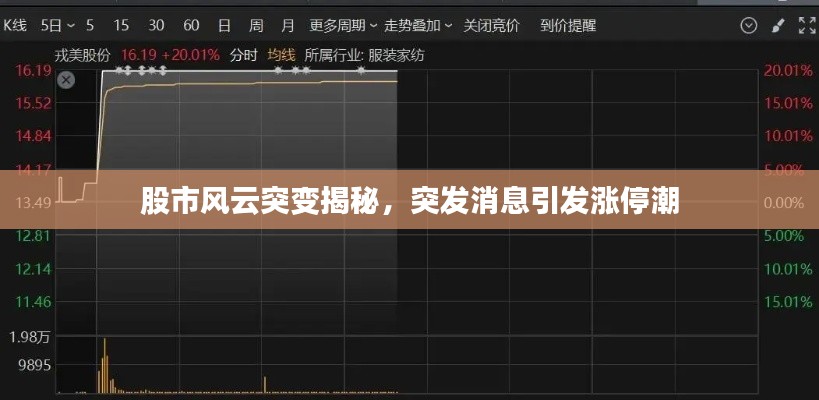 股市风云突变揭秘,突发消息引发涨停潮
